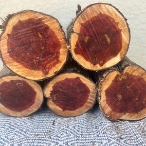 Extra Large Eastern Red Cedar Log – Aromatic, Carve-Ready Chunk of Rustic Magic (10-12” Long, +6” Wide)