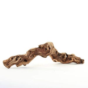 natural grapewood, grape wood vine branch