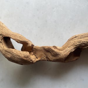 1 Piece Driftwood Art. Driftwood sculpture. Home Decor. Hand Carved Wooden Stick, Art Objects. Aquarium Decor, Terrarium Containers.