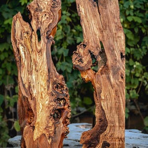 Turkish Ancient Olive Wood River Set for Ready For Epoxy Resin Charcuteri Board Dried Flattened Smooth Sanded Stump and Root Burls 20”|50cm