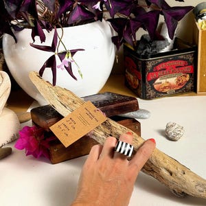 Handpicked Driftwood from Bodrum | 40.5cm Aegean Sea (3.5cm Wide) | Natural Wood for Macrame & Art